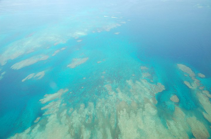 �Ί_���̗����t�F���[�^�[�~�i��